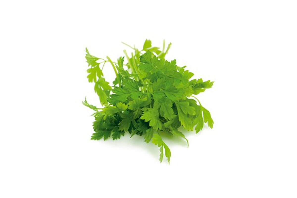 Bylinky - Trebuľka 30 g zväzok